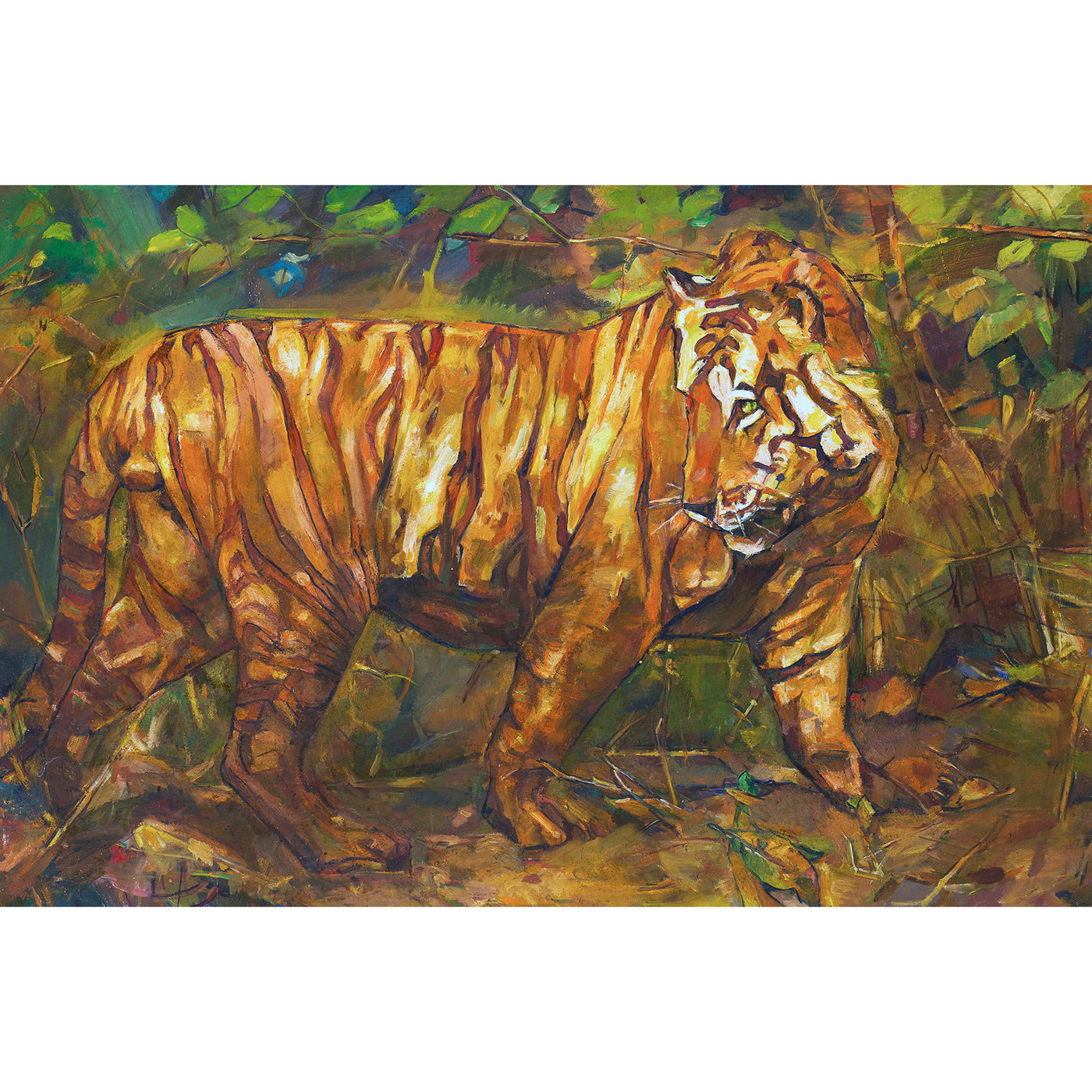 Bengal Tiger