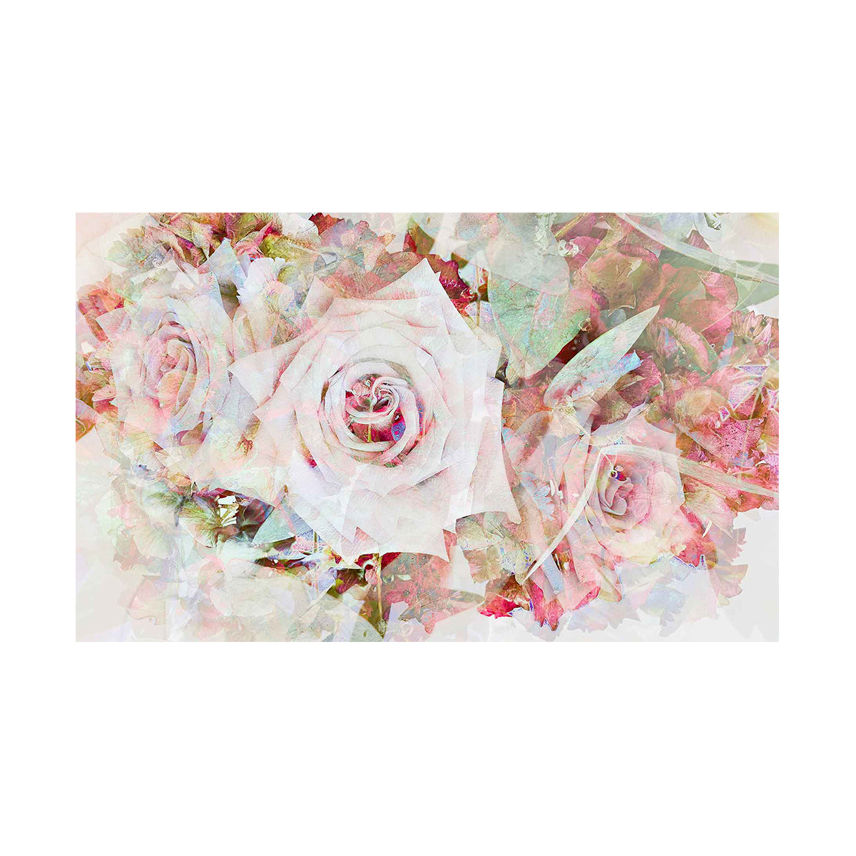 Stanko Ropic Roses & Hydrangea (1/3 Limited Edition) – Fiidaa Art