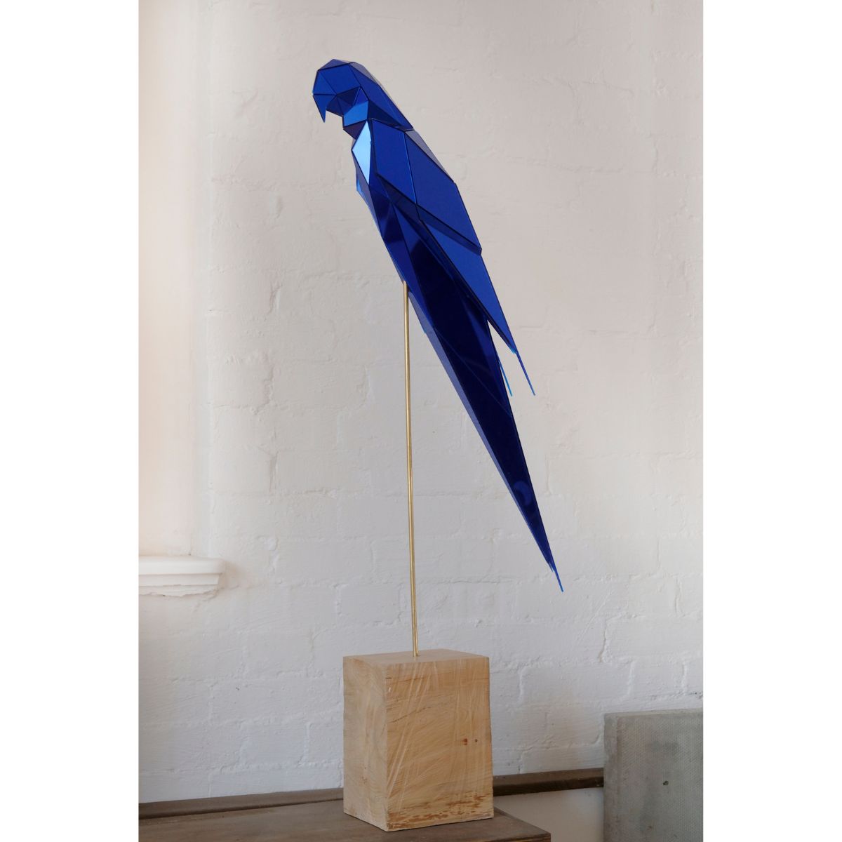 Hyacinth Macaw (Edition 10)