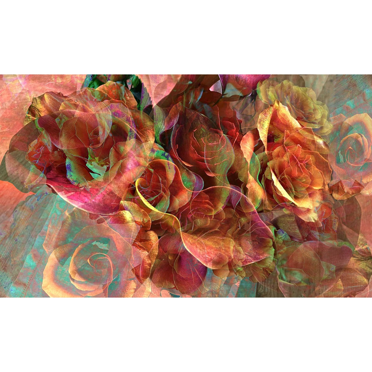 Roses & Callas (1/3 Limited Edition)
